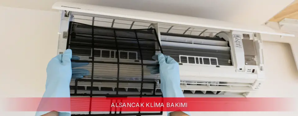 Alsancak İlçemi Mitsubishi Electric Klima Bakımı